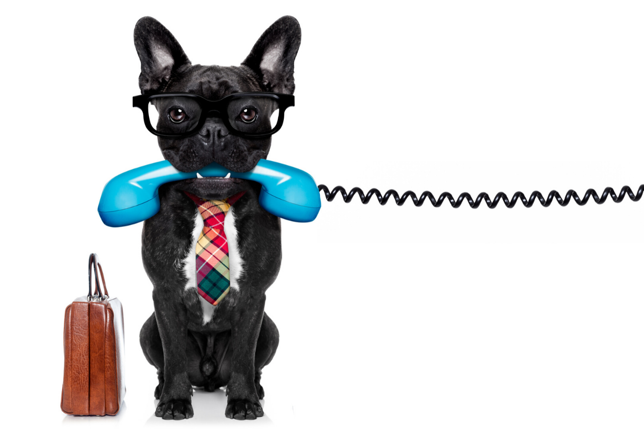 Cold Calling is Dead