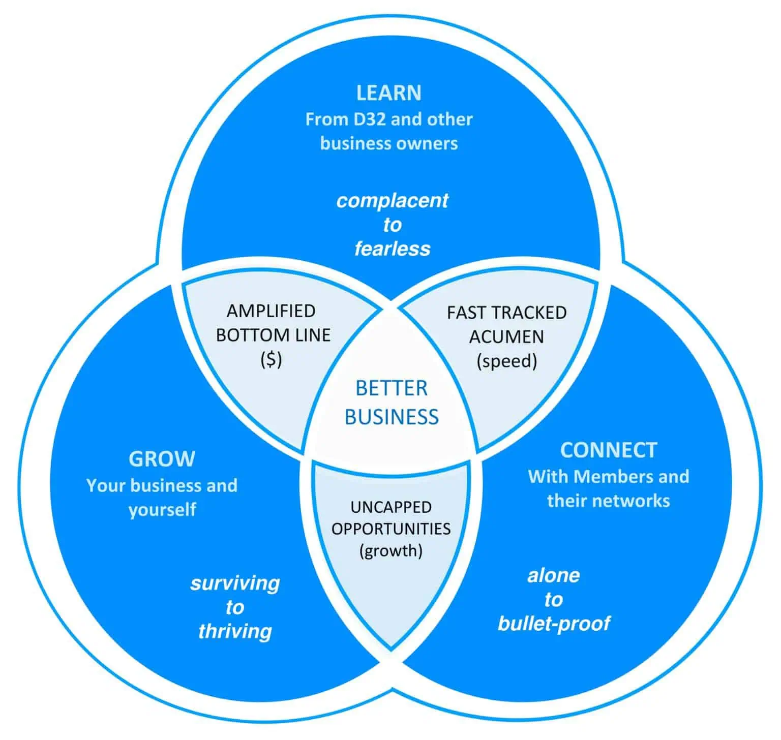 D32_Business_Network_-_Growth_Model_2025