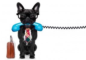 Cold Calling is Dead