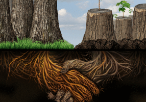 Networking is about planting relations